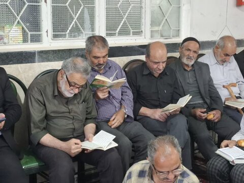 تصاویر/ مراسم معنوی دعای عرفه در امامزاده داوود(ع) قمصر