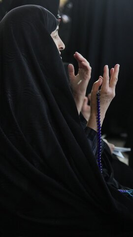 تصاویر /برگزاری دعای پرفیض عرفه درکنار مضجع شریف هلال بن علی (ع)