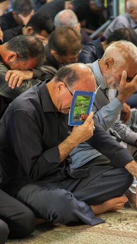 تصاویر /برگزاری دعای پرفیض عرفه درکنار مضجع شریف هلال بن علی (ع)