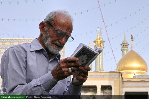 قراءة دعاء عرفة في العتبة المعصومية المقدسة