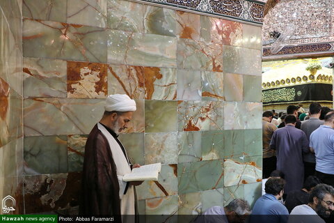 قراءة دعاء عرفة في العتبة المعصومية المقدسة