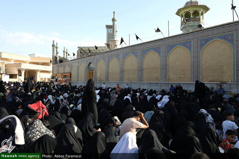 قراءة دعاء عرفة في العتبة المعصومية المقدسة