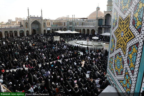 قراءة دعاء عرفة في العتبة المعصومية المقدسة