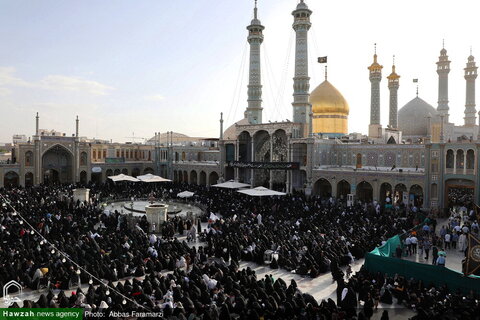 قراءة دعاء عرفة في العتبة المعصومية المقدسة