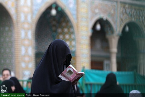 قراءة دعاء عرفة في العتبة المعصومية المقدسة