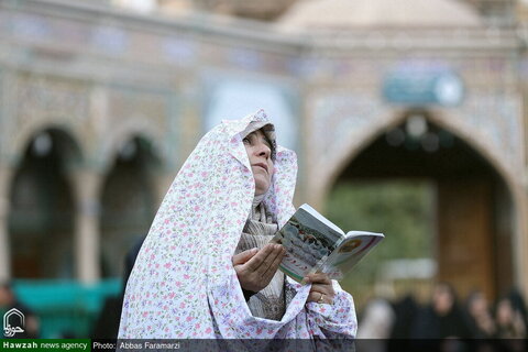 قراءة دعاء عرفة في العتبة المعصومية المقدسة