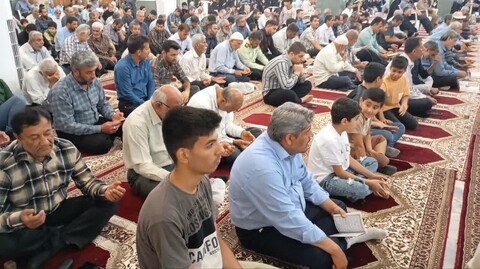 تصاویر/ زمزمه دعای عرفه در برازجان