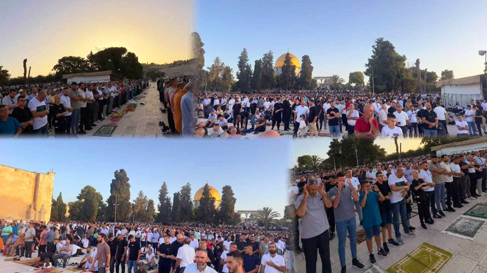 80 الف مصلٍ يؤدون صلاة عيد الأضحى في المسجد الأقصى رغم تضييقات كيان الاحتلال