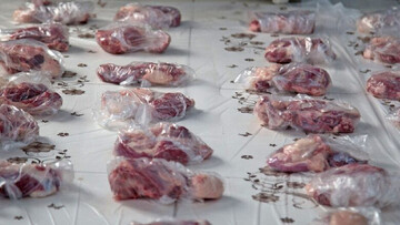 اجرای طرح خونه به خونه مهمونیه در لرستان