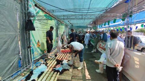 تصاویر/  محل عرضه و ذبح شرعی و بهداشتی دام در روز عید قربان