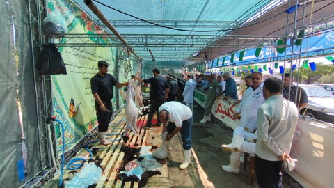 تصاویر/  محل عرضه و ذبح شرعی و بهداشتی دام در روز عید قربان