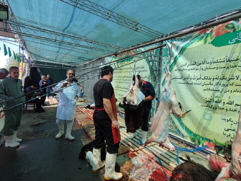 تصاویر/  محل عرضه و ذبح شرعی و بهداشتی دام در روز عید قربان