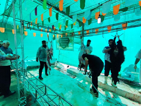 تصاویر/  محل عرضه و ذبح شرعی و بهداشتی دام در روز عید قربان