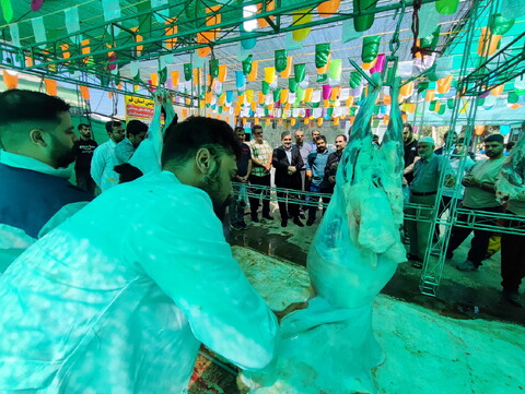 تصاویر/  محل عرضه و ذبح شرعی و بهداشتی دام در روز عید قربان