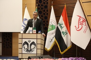 راهپیمایی اربعین، تفکر مقاومت را زنده نگه‌داشته است