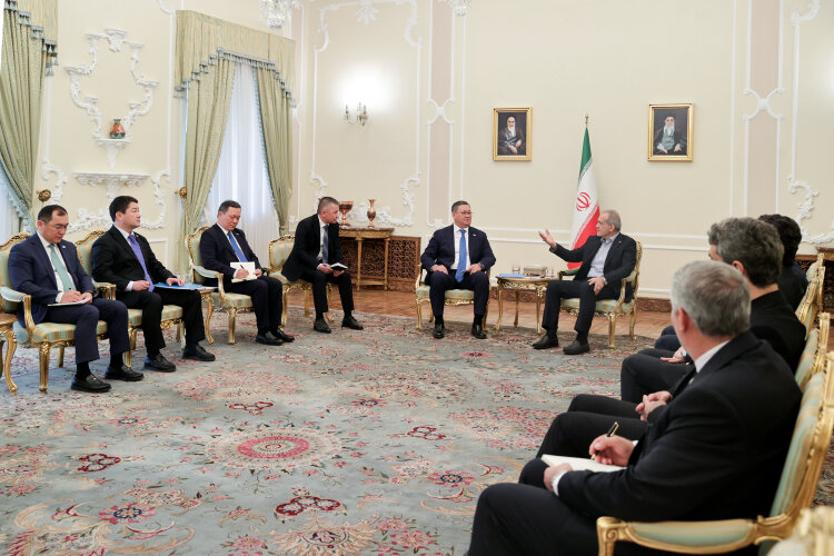 دکتر پزشکیان: کشورهای اسلامی با اشتراک‌گذاری ظرفیت‌ها می‌توانند توسعه، پیشرفت و رفاه را برای جوامع خود رقم بزنند/ مراد نورتلئو: برای تقویت مناسبات با ایران در ابعاد سیاسی، اقتصادی و منطقه‌ای اراده جدی داریم