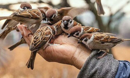 Becoming generous means adopting the attributes of God