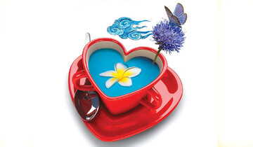 ۶ اصل طلایی که قبل از انتخاب همسر باید بدانید!