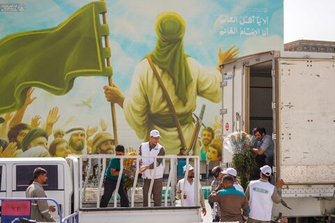 استعدادات كبيرة لنشر مئات آلاف شتلات الورد في العتبة العلوية احتفاءً بعيد الغدير