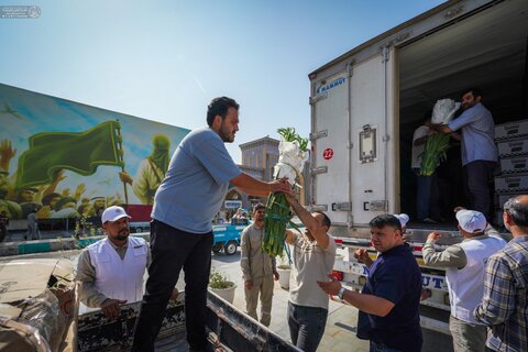 استعدادات كبيرة لنشر مئات آلاف شتلات الورد في العتبة العلوية احتفاءً بعيد الغدير