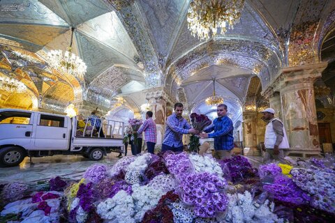 استعدادات كبيرة لنشر مئات آلاف شتلات الورد في العتبة العلوية احتفاءً بعيد الغدير