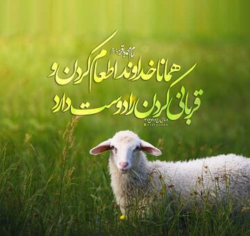 برگزاری مراسم قربانی به نیت سلامتی رهبر معظم انقلاب در یزد