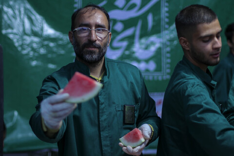 تصاویر| شکوه ذوالفقار علی در بیرجند