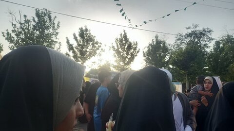 تصاویر/برگزاری راهپیمایی روز عید غدیر در محلات