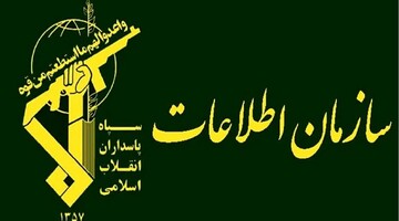 شناسایی و بازداشت تیم فعال در زمینه ریزپرنده ها در چهارمحال و بختیاری