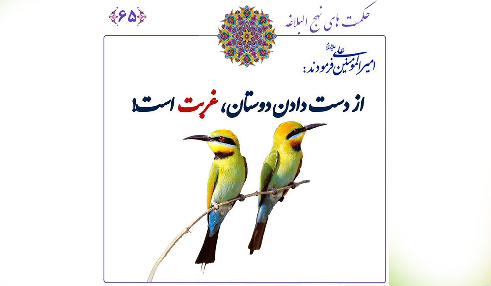 حکمت ۶۵ نهج‌البلاغه: غربت واقعی کجاست؟