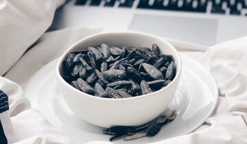 احکام شرعی | خوردن تخمه و آجیل در ایام شهادت و عزاداری