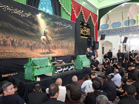 تصاویر/همایش شیرخوارگان حسینی در امامزاده هادی (ع) فین کاشان