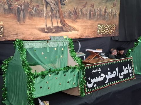 تصاویر/همایش شیرخوارگان حسینی در امامزاده هادی (ع) فین کاشان