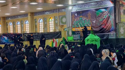 تصاویر/ همایش شیرخوارگان حسینی در گناوه