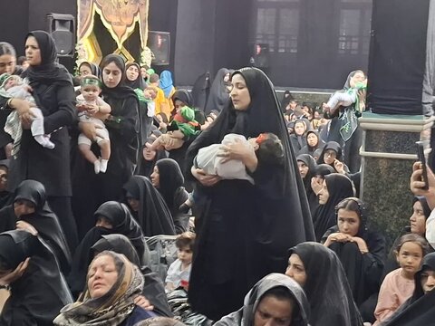 تصاویر/همایش شیرخوارگان حسینی در مسجد صادقیه کاشان