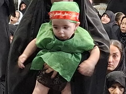 تصاویر/همایش شیرخوارگان حسینی در مسجد صادقیه کاشان