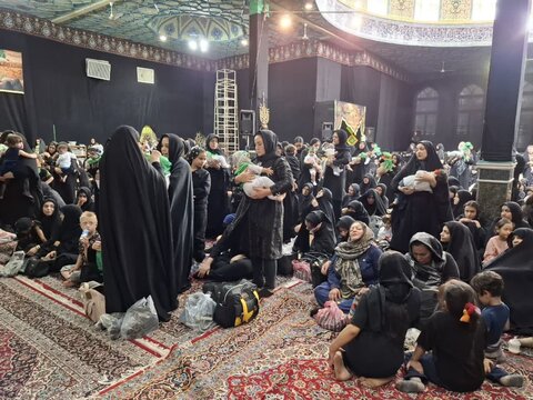 تصاویر/همایش شیرخوارگان حسینی در مسجد صادقیه کاشان