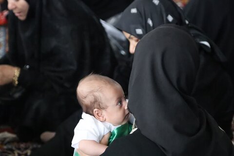 تصاویر/ همایش شیرخوارگان حسینی در شاهین دژ