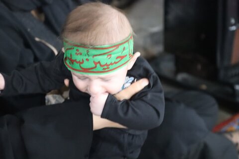 تصاویر/ همایش شیرخوارگان حسینی در شاهین دژ