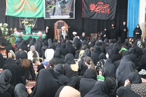 تصاویر/ همایش شیرخوارگان حسینی در شاهین دژ