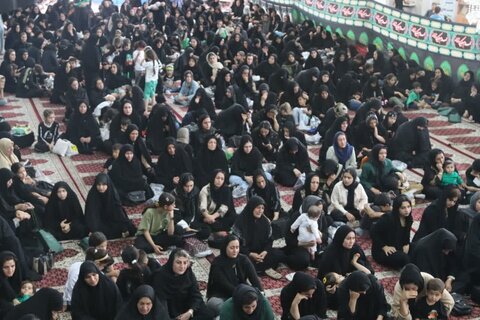 تصاویر/ همایش شیرخوارگان حسینی در شاهین دژ