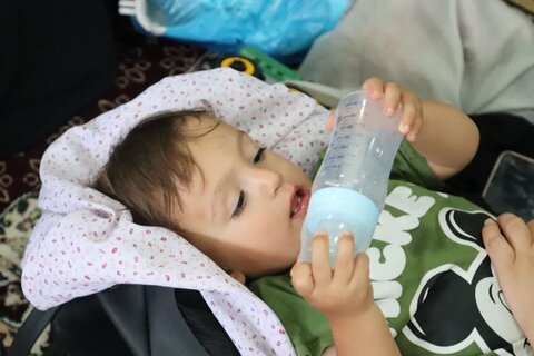 تصاویر/ همایش شیرخوارگان حسینی در شاهین دژ