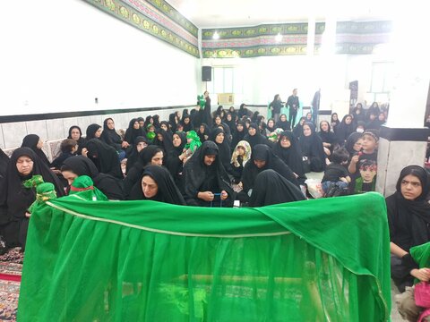 تصاویر/ مراسم شیر خوارگان در شهرستان دهلران