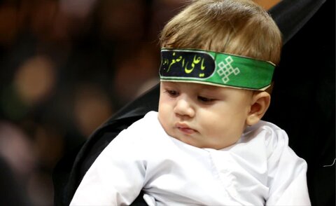 تصاویر/ مراسم شیر خوارگان در حرم مطهر حضرت فاطمه معصومه (س)