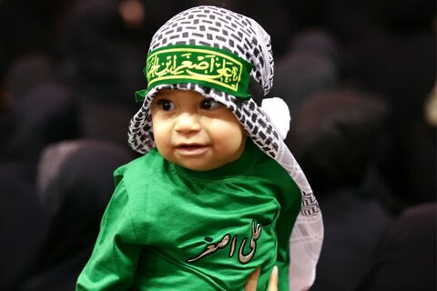 تصاویر/ مراسم شیر خوارگان در حرم مطهر حضرت فاطمه معصومه (س)