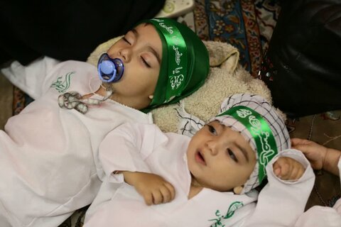 تصاویر/ مراسم شیر خوارگان در حرم مطهر حضرت فاطمه معصومه (س)