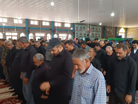 تصاویر/ نماز جمعه صفائیه