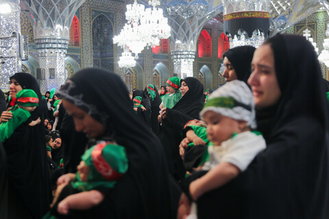 تصاویر/ آیین معنوی «شیرخوارگان حسینی» در حرم مطهر رضوی