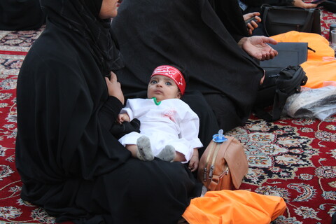 تصاویر/ مراسم شیرخوارگان حسینی جوپار