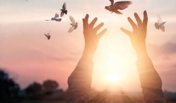 عفو، نشانه ضعف است یا اوجِ توانمندی؟